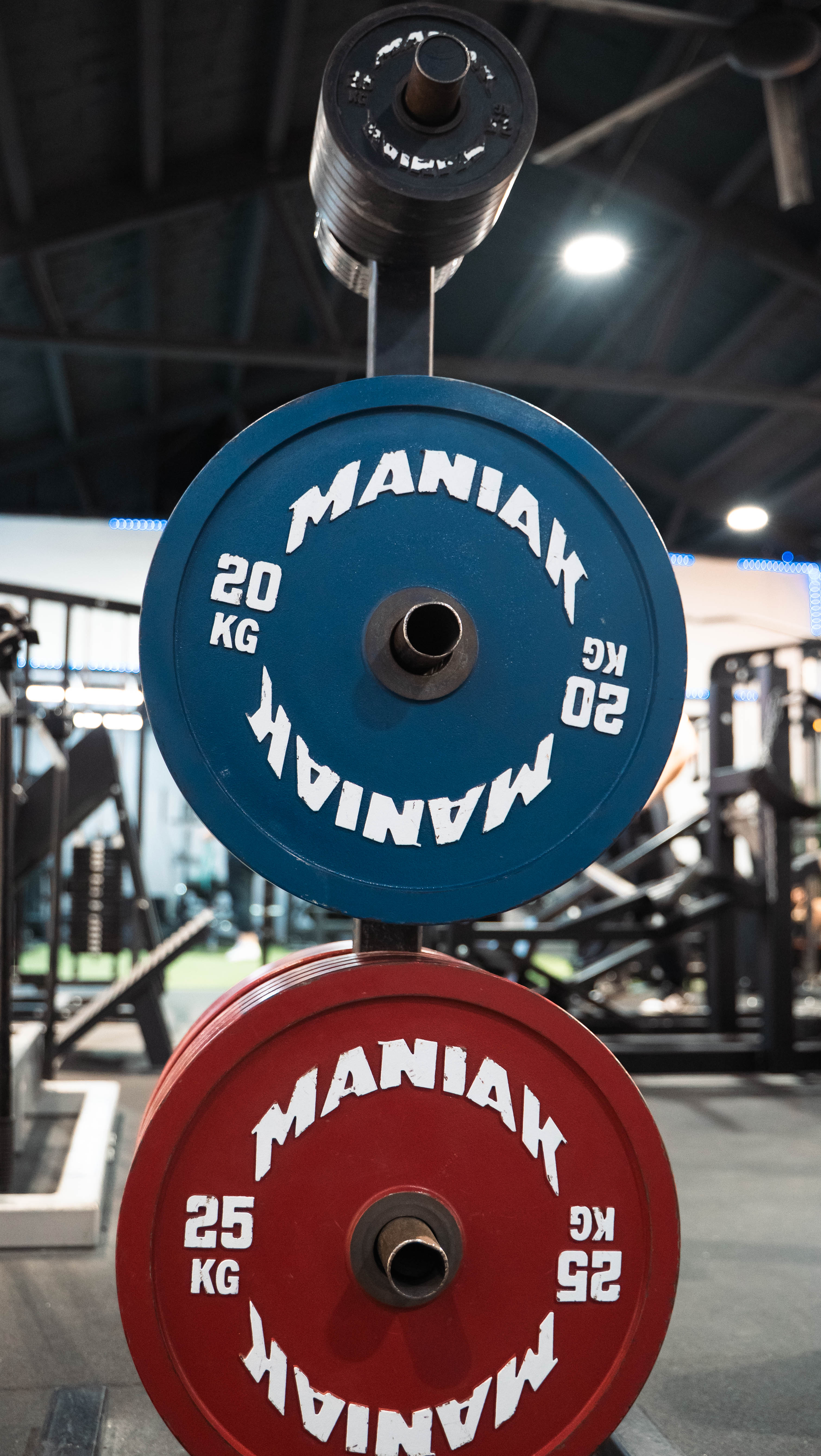 Contamos con equipamiento homologado de powerlifting (racks de competición, discos calibrados, barras de competición, plataformas de peso muerto, barras especiales y mucho más)